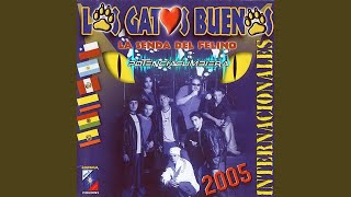 Video thumbnail of "Los Gatos Buenos - Cómo Has Hecho"