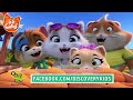 44 Gatos | Latinoamérica | ¡Concurso con Discovery Kids! [Válido solo para México]