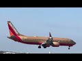 Southwest Airlines (Desert Gold Livery) Landing at Chicago O’HARE International Airport