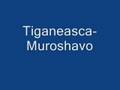 Tiganeasca-Muroshavo