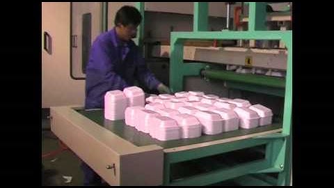 Jane whatsapp/viber:+8613792591758-janeyuxiao@hotmail.com-Disposable foam food tray machine