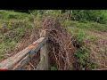 Virtual Hike Along the River by Draethen, Wales 🌿🚶 | 8 Mile Walk 💧