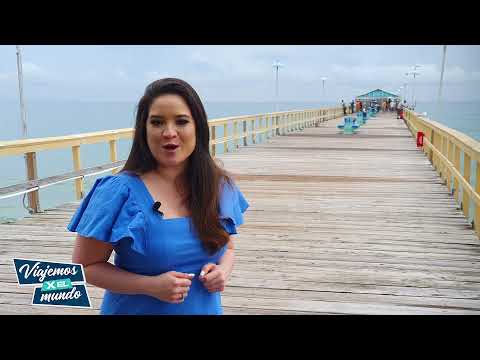 Video: Fort Lauderdale y Port Everglades - Puertos de cruceros