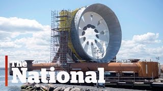 Nova Scotia's tidal energy