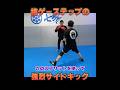 ほぼ格ゲーのステップから放つ、石井東吾のサイドキック #武術 #ワンインチチャンネル