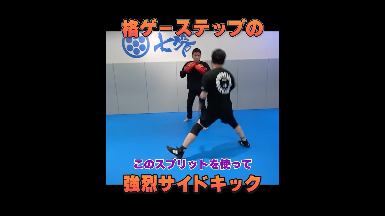 ほぼ格ゲーのステップから放つ、石井東吾のサイドキック #武術 #ワンインチチャンネル