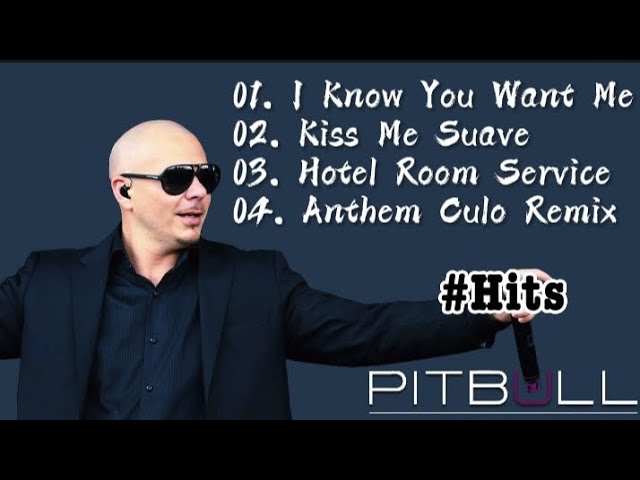 Pitbull Hit Songs || Album - Collection || Cloudy Vibez class=