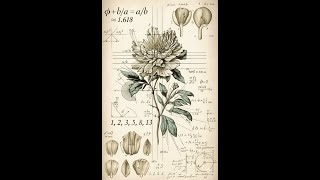 The Mechanics of Bloom - Luis Ramirez