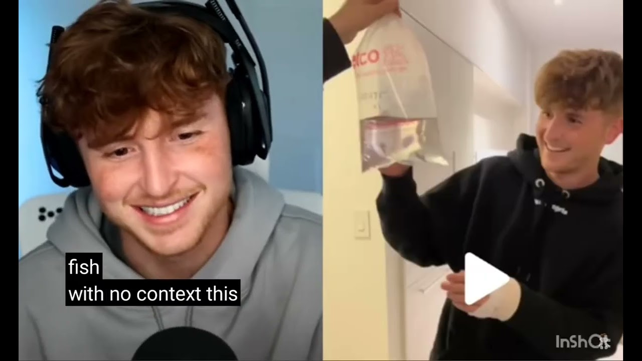 Enjoy watching caylus 