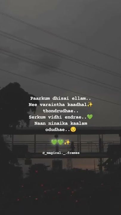 Nee Tholaindhaayo Song | WhatsApp status Tamil | Magical Frames | Song lyrics tamil