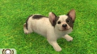 nintendogs corgi