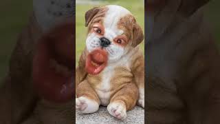 Đom đóm tập 3#shortvideo