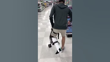 First Time Trying the iWalk