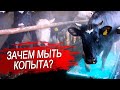 Средство для обработки копыт крс. Чем мыть копыта корове?