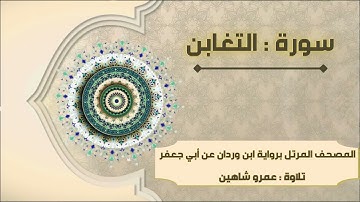 سورة التغابن بقراءة أبي جعفر|| عمرو شاهين