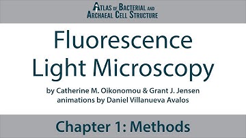 1.2 Fluorescence Light Microscopy