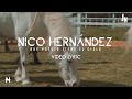 Qué Precio Tiene El Cielo - Nico Hernández | Video Lyric