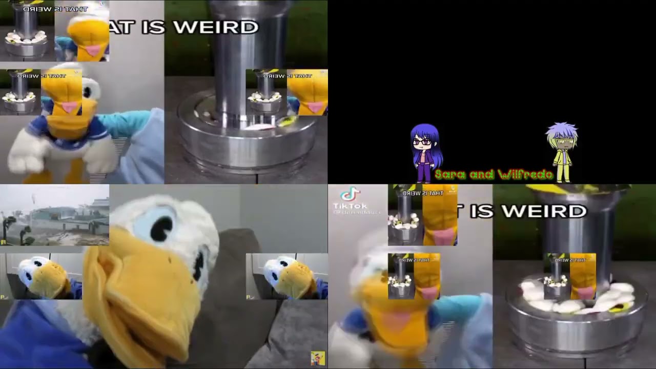 Donaldducc Sparta Remix Quadparison #3 (Gamma Version)