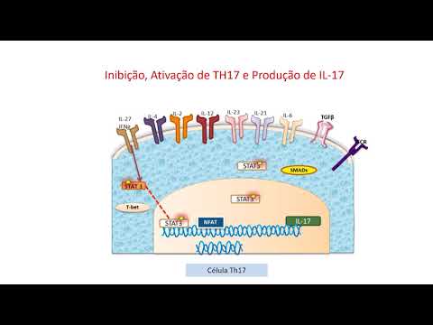 Vídeo: Direcionar A Sinalização De Interleucina (IL) -30 / IL-27p28 Em Células-tronco Cancerígenas E No Ambiente Hospedeiro Inibe Sinergicamente O Crescimento Do Câncer De Próstata E Melh