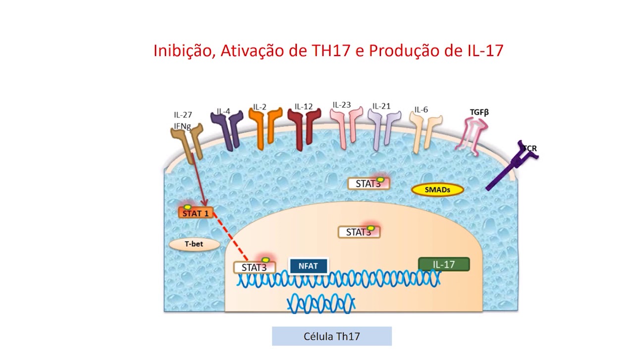 Erros Inatos da Imunidade Mediada por Linfócitos TH17 e IL-17 - YouTube