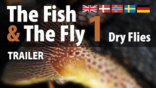 Watch The Fish & The Fly 1: Dry Flies Trailer