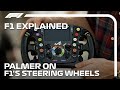 F1 explained the steering wheel