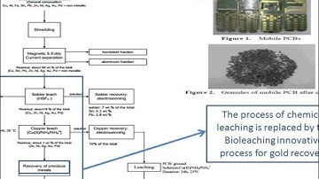 E-Waste Bioleaching for Precious Metals Recovery