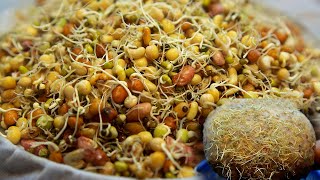 How To Sprout Mix Beans Kwati At Janai Purnima | जनैपूर्णिमाको लागि बिशेष क्वाँटी यसरी उमार्नुहोस |