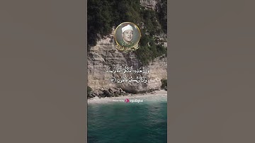 تلاوة جميلة