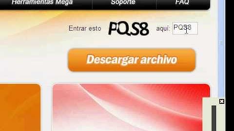 BSR Screen Recorder FULL Still Working 11/9/2009