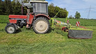 Case International 433 mit Claas Liner 350 S beim 1️⃣.Grasschnitt schwaden 2024