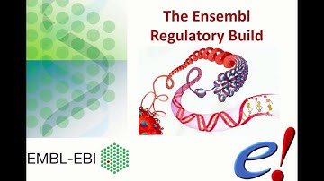 Virtual Workshop - The Ensembl Genome Browser - (2021): Webinar 5 - Regulation