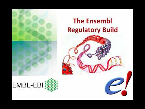 Virtual Workshop - The Ensembl Genome Browser - (2021): Webinar 5 - Regulation