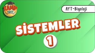 Sistemler-1 | AYT Biyoloji #biyolojik