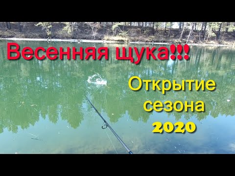 Рыбалка. Щука. Сезон 2020. Весенняя рыбалка на спиннинг