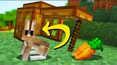 Minecraft traps in one command