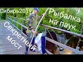 Рыбалка на щуку, рыбалка на паук  Рыбалка 2019 Щука или смерть