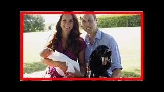 Adel gesichtet: Neues von den Royals
