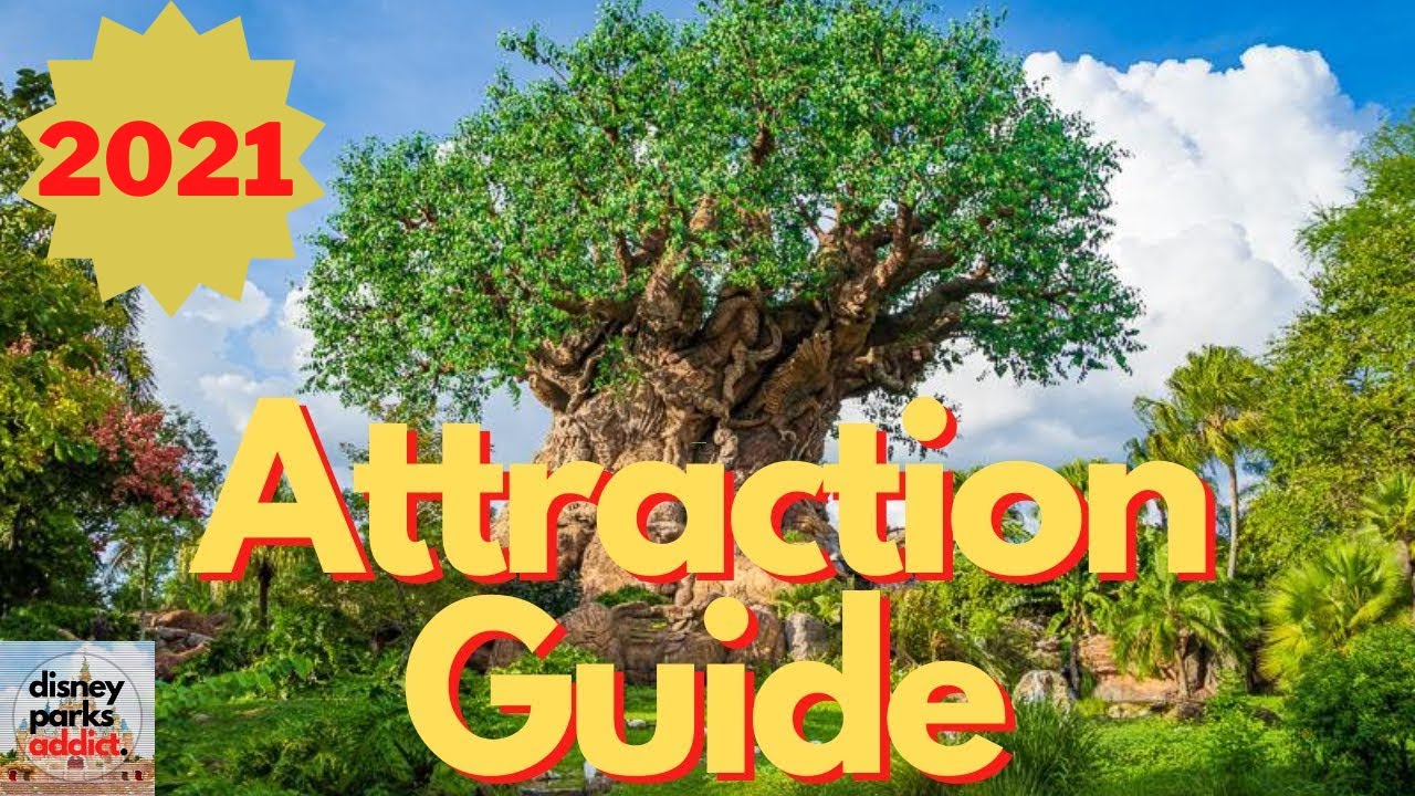 Disney's Animal Kingdom ATTRACTION GUIDE - 2021 - All Rides - Walt Disney  World - YouTube