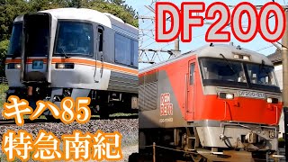 キハ85系南紀を追う！　伊勢鉄道＆JR関西本線撮影記