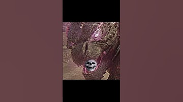 Godzilla vs Kong💀💀☠️🔥🔥￼ #edit #monsterverse