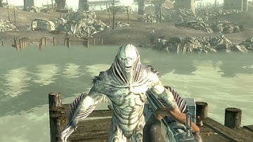 Mirelurk Outta Nowhere - Fallout 3