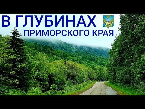 Как живёт Приморский край? | Родина вертолётов и эталон природы