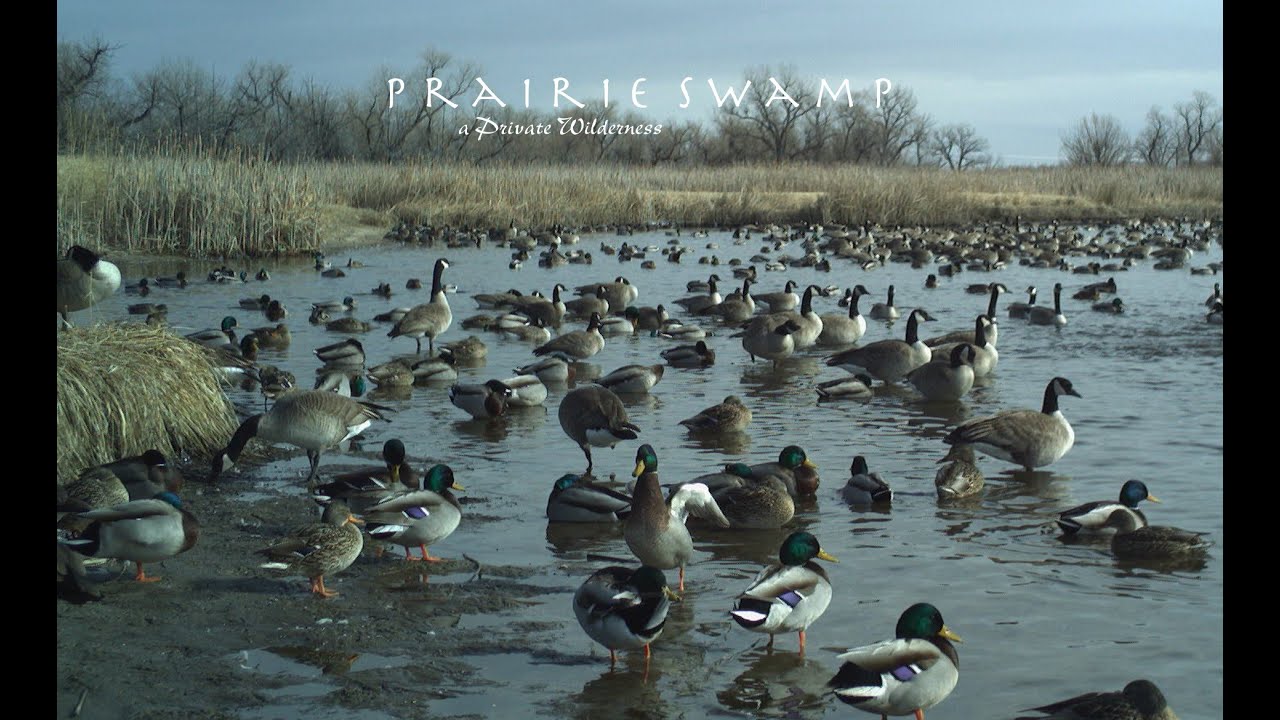 SOLD! Nebraska Waterfowl Hunting Land For Sale Prairie Swamp 2018/