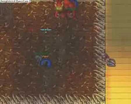 Tibia Summer Update 2007