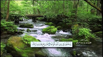 سورة النصر القارئ بدر بن محمد التركي