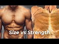 Strength vs hypertrophy the science of building muscle