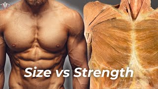 Strength vs Hypertrophy: The Science of Building Muscle