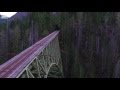 Optical Impressions | Vance Creek Viaduct Bridge