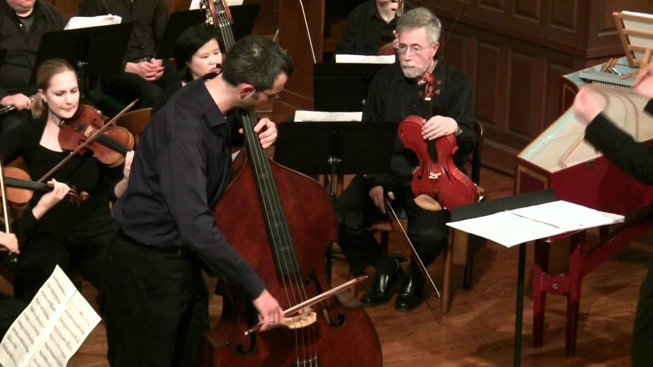 Vanhal- Bass Concerto, Scott Pingel on Koussevitsky/Karr Bass, Andrei Gorbatenko